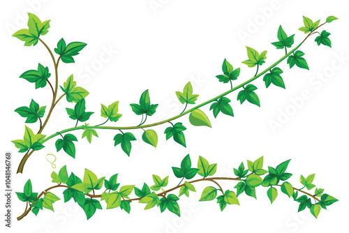 Realistic Ivy Vines and Creepers Set - Green Leaves and Foliage Borders on White Background