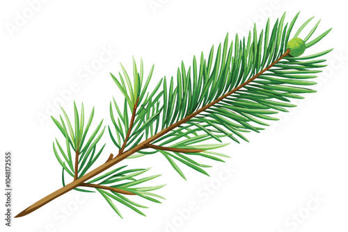 Realistic Pine Tree Branch Set - Green Fir Twigs with Needles Isolated on White Background