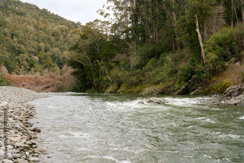 Serene River Flowing Through New Zealand's Lush Native Forest