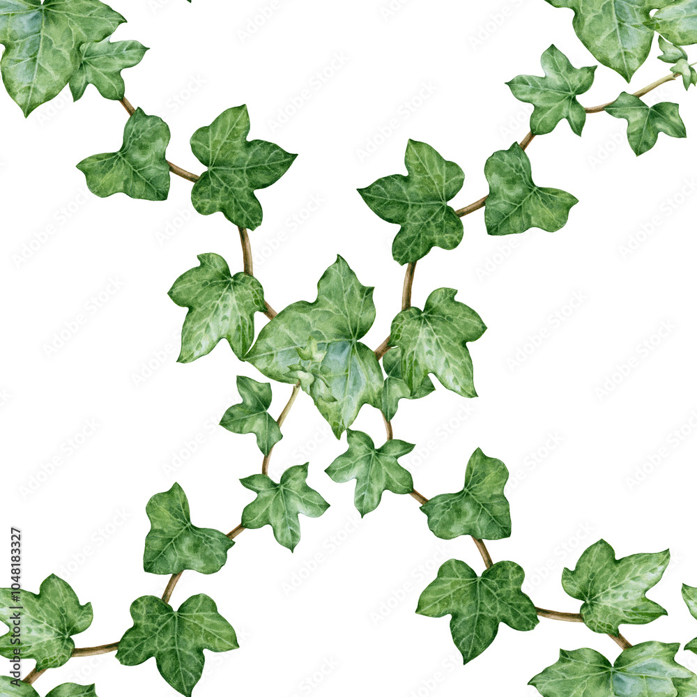 Ivy plant geometric seamless pattern. Watercolor illustration. Green lush hedera helix painted image. Garden evergreen hedera herb seamless pattern ornament element on white background Ivy plant geometric seamless pattern. Watercolor illustration. Green lush hedera helix painted image. Garden evergreen hedera herb seamless pattern ornament element on white background