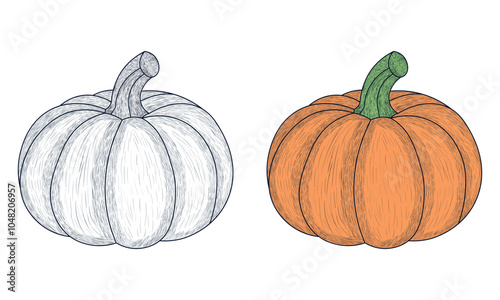Pumpkin Hand drawn with Black and White and Color.