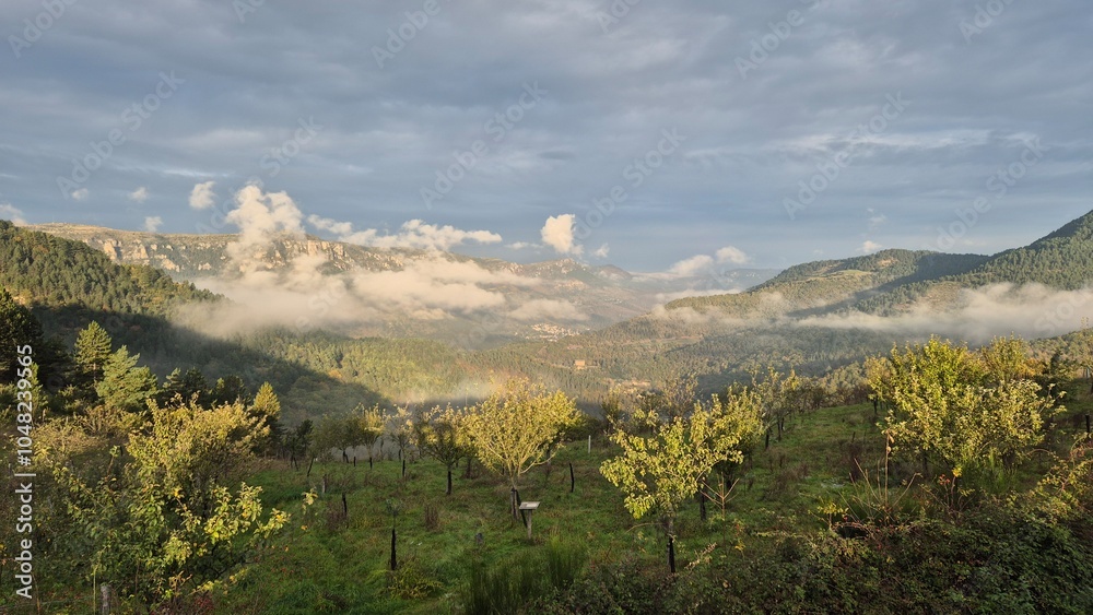 Obraz premium Cévennes, lever de soleil et brume