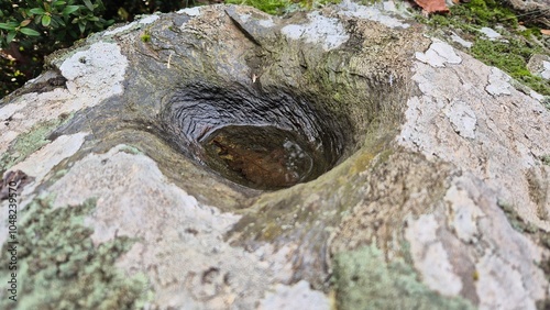 cupule en Cévennes, France