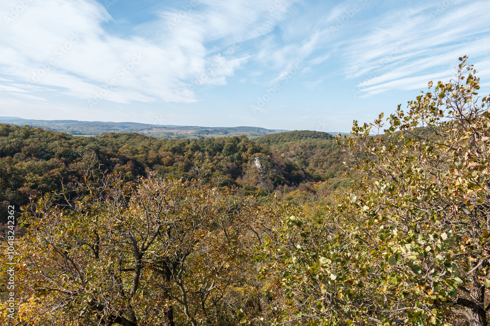 autumn forest landscape with distant hills
autumn forest landscape with distant hills