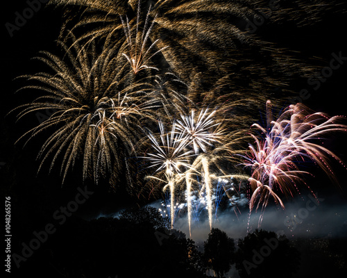 Obraz na płótnie Firework display at a festival w salonie