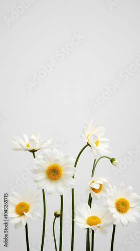 Wallpaper Mural Elegant Floral Background with Vibrant Flowers and Solid Background for Product Advertisement and Branding Torontodigital.ca