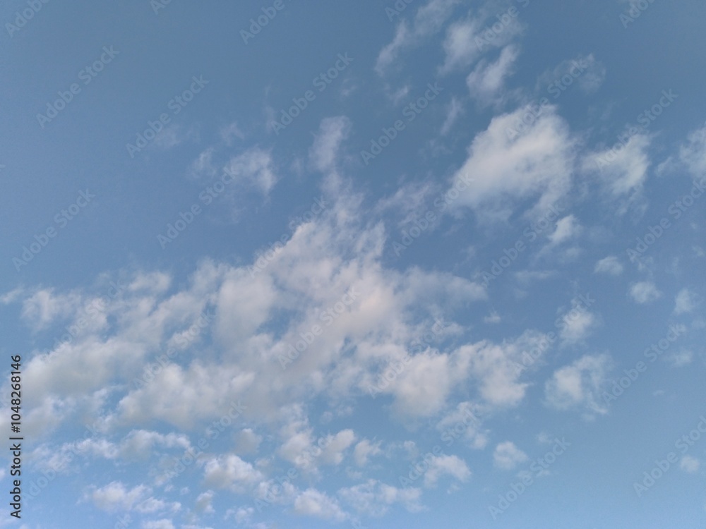 Fototapeta premium 青空