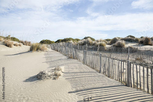 Plage de l'Espiguette, Camargue