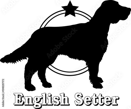 English Setter. dog silhouette,  dog, dog breeds, logo, vector, silhouette, logo design, animal, illustration, icon, sign, design, black,  symbol, pet