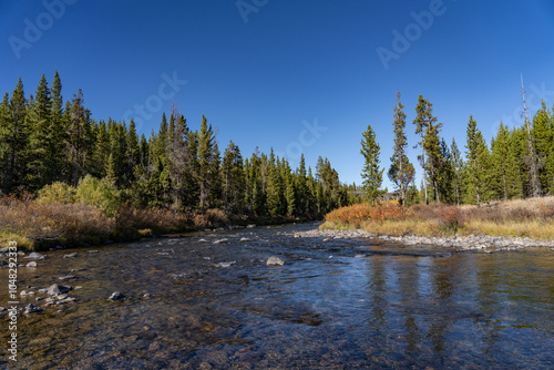 Columnar Jointing in Swan Lake Flat Basalt at Sheepeater Cliff. Gardner River. Yellowstone National Park , Wyoming.  The Sheepeater Cliffs are a series of exposed cliffs made up of columnar basalt  photo