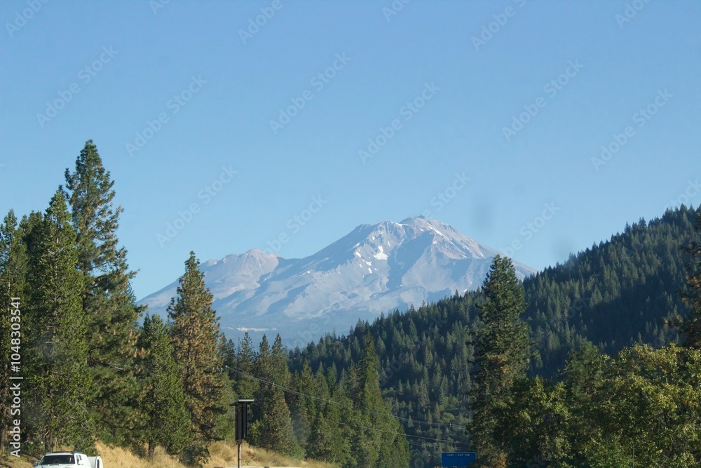 Fototapeta premium POV of a man exploring Oregon for the first time