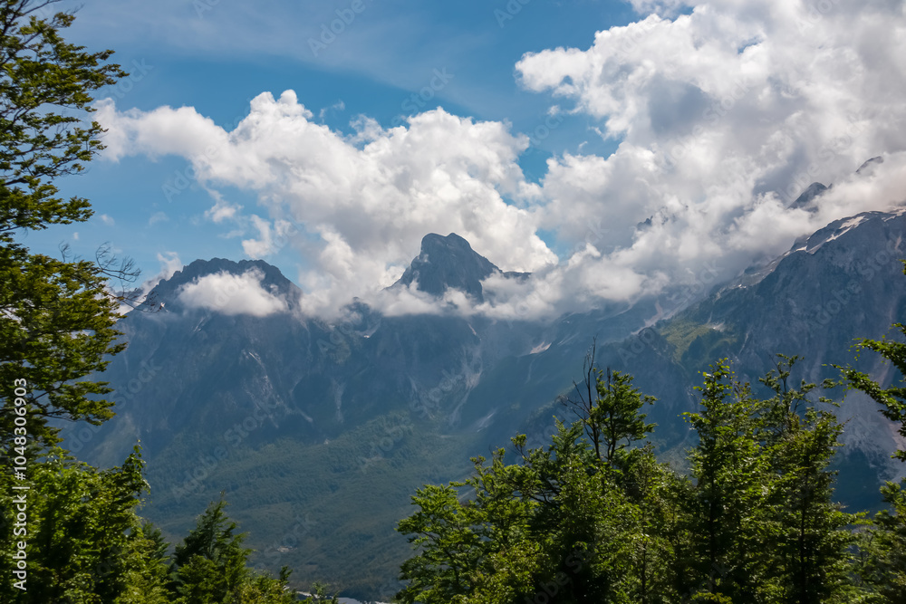Obraz premium Scenic hiking trail through alpine pine forest. Majestic steep mountain peaks of massif Zhaborret shrouded in clouds, Albanian Alps (Accursed Mountains), Valbone Valley National Park, Albania. Hike
