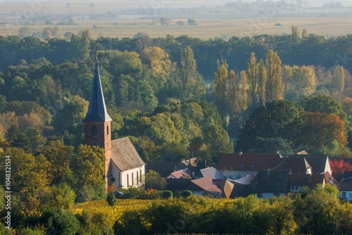 Forst an der Weinstraße im Herbst photo