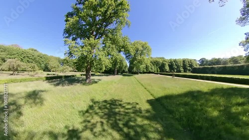 Green Park in Spring - Deciduous Forest Trees and Landscape