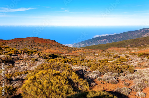 Volcanic landscape, Island Tenerife, Canary Islands, Spain, Europe. photo