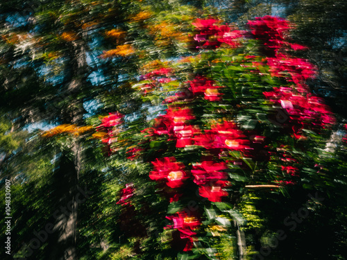 red and yellow flowers with motion blur
