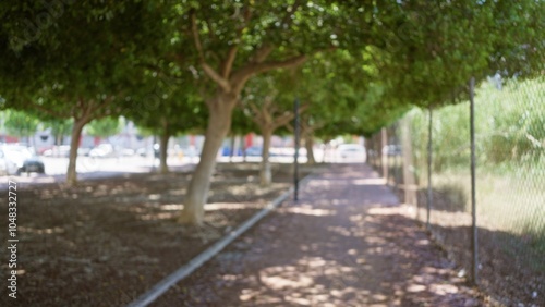 Blurred outdoor scene with defocused background showing trees lining a path under sunlight for a natural bokeh effect