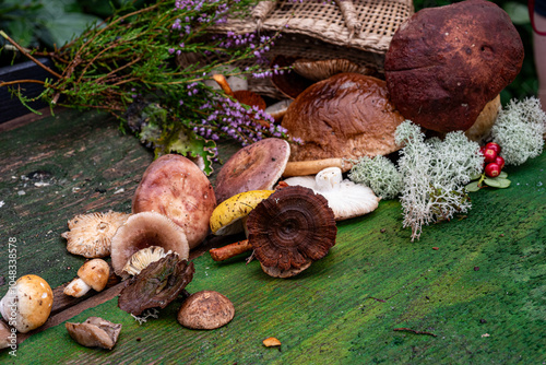 still life with wild mushrooms, autumn is the time of gathering mushrooms for winter food, autumn photo