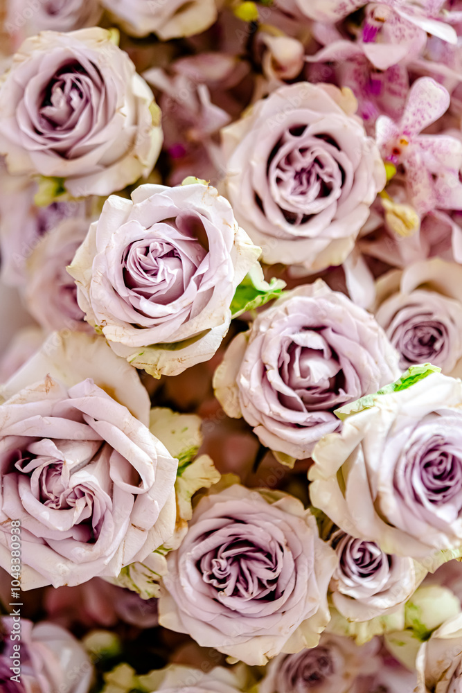 Fototapeta premium Beautiful flowers decorations, flower background, backdrop wedding decoration, rose pattern, colorful background, bunch of flowers
