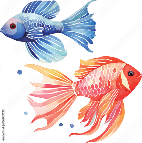 illustration of a fish