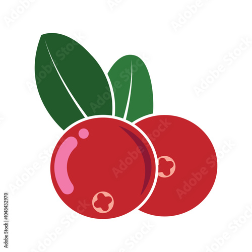 cranberry fruit vector, Red cowberries. Berries with leaves. Hand-drawn botanical colored flat vector illustration isolated on white background. 
