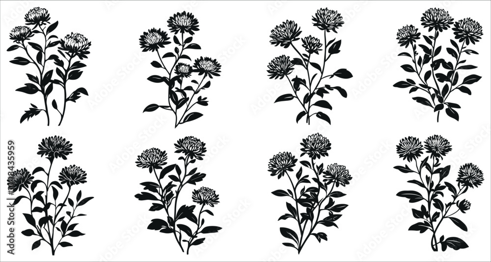Fototapeta premium Set of black aster flowers vector, Set of aster flower silhouettes collection, Beautiful aster flower silhouettes, Decorative floral design elements, Aster flowers silhouettes on white background