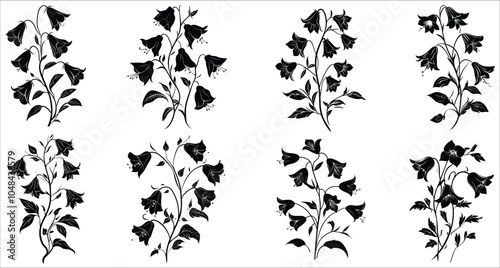 Beautiful bellflower silhouettes vector. Bellflower silhouettes for elegant designs. Set of decorative bellflower silhouettes. Vector illustrations of bellflower. Black silhouettes of bellflower