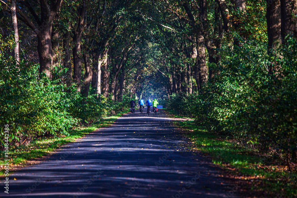 Fototapeta premium Play of colors in autumn