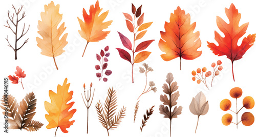 autumn leaves background