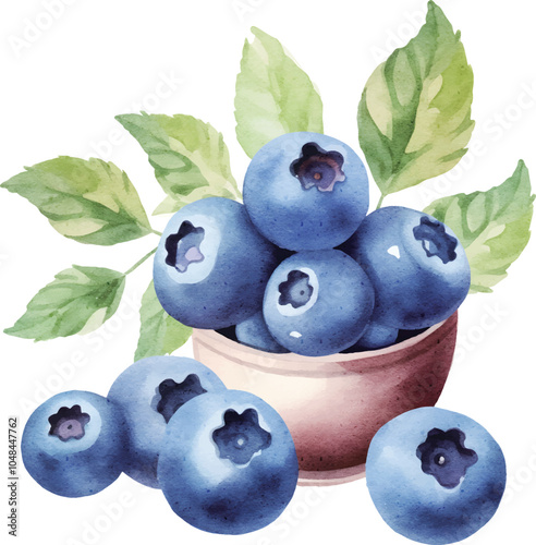 blueberries with leaves