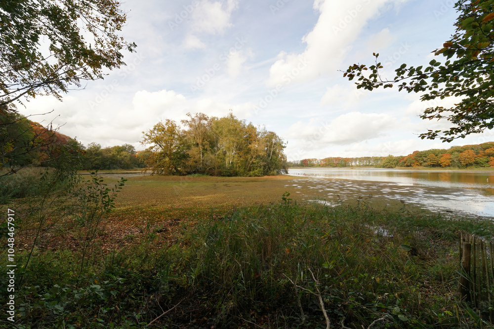 Fototapeta premium A serene landscape featuring a calm lake surrounded by trees and foliage, Kraenepoel Aalter
