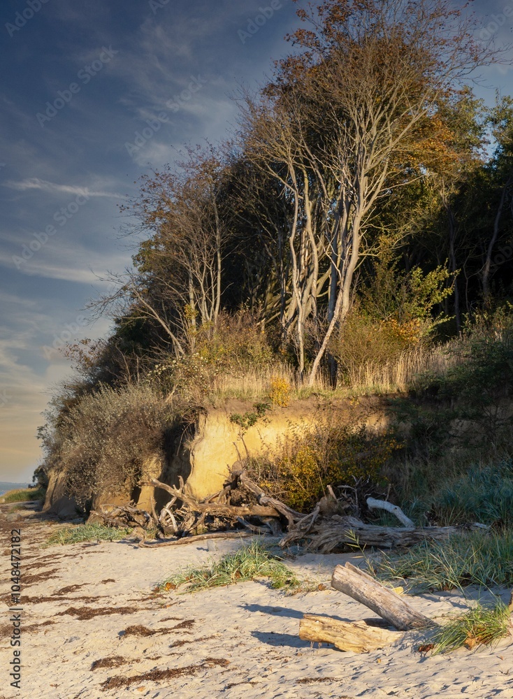 beautiful steep coast on the Baltic Sea on the island of Poel