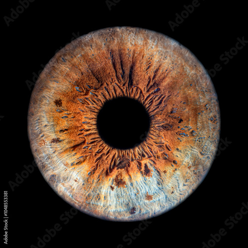 Iris Photography - Unique Singularity_35