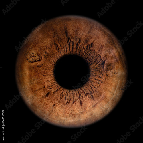 Iris Photography - Unique Singularity_26