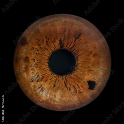Iris Photography - Unique Singularity_25