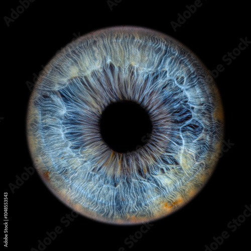 Iris Photography - Unique Singularity_24