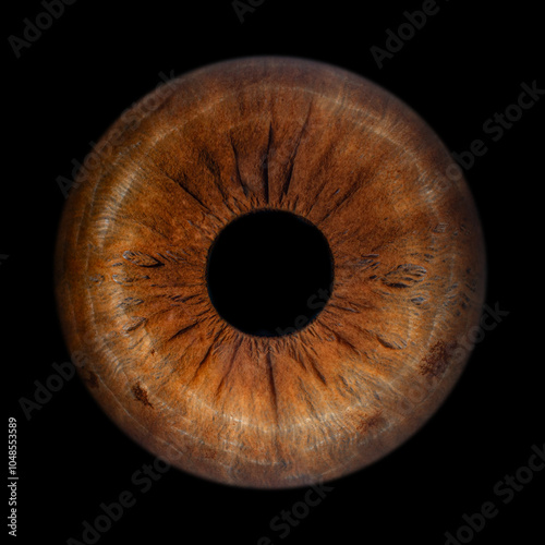 Iris Photography - Unique Singularity_21