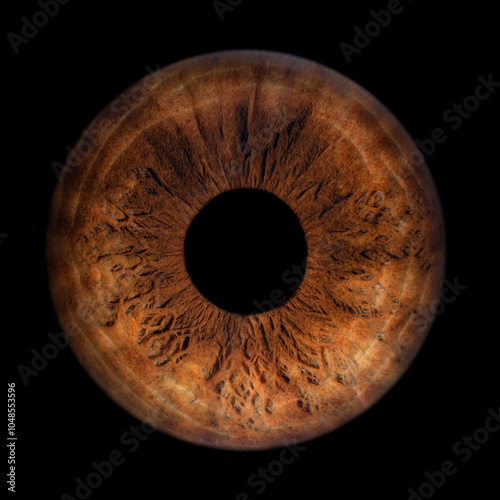 Iris Photography - Unique Singularity_20