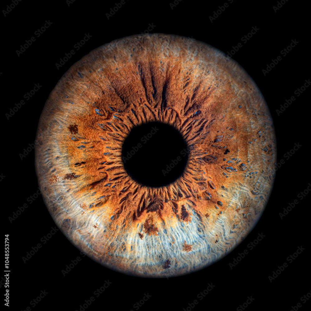 Iris Photography - Unique Singularity_7 Iris Photography - Unique Singularity_7