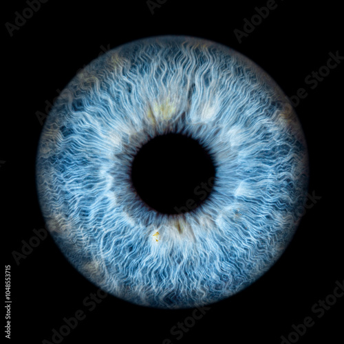 Iris Photography - Unique Singularity_13