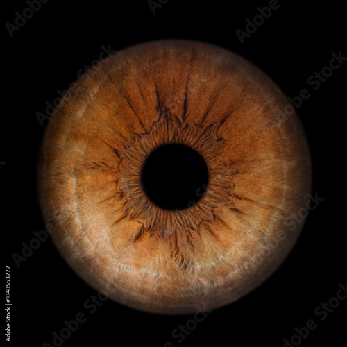 Iris Photography - Unique Singularity_8