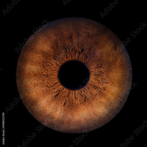 Iris Photography - Unique Singularity_9