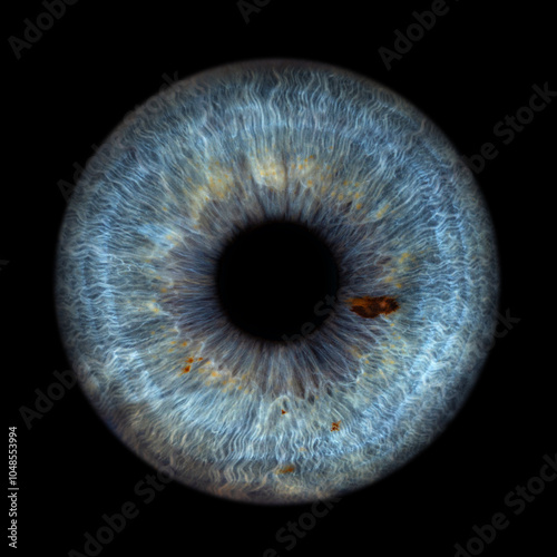 Iris Photography - Unique Singularity