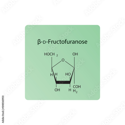 β-D-Fructofuranose skeletal structure diagram.Sugar compound molecule scientific illustration.