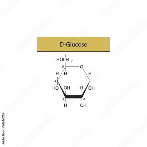 D-Glucose (Haworth projection) skeletal structure diagram.Sugar compound molecule scientific illustration.