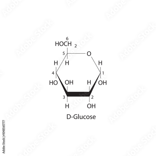 D-Glucose (Haworth projection) skeletal structure diagram.Sugar compound molecule scientific illustration.