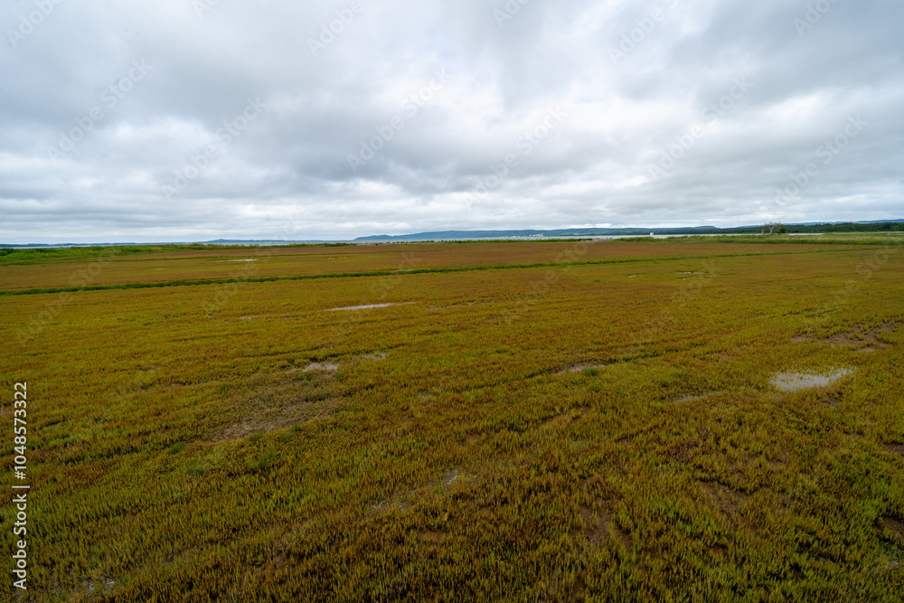 Obraz premium field and blue sky