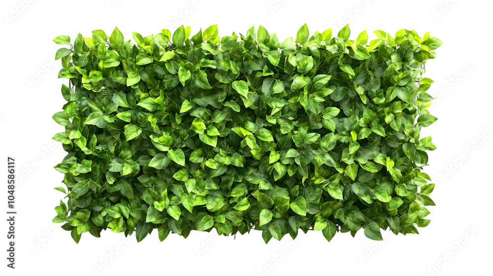 Green plant wall panno, isolated on white background Green plant wall panno, isolated on white background