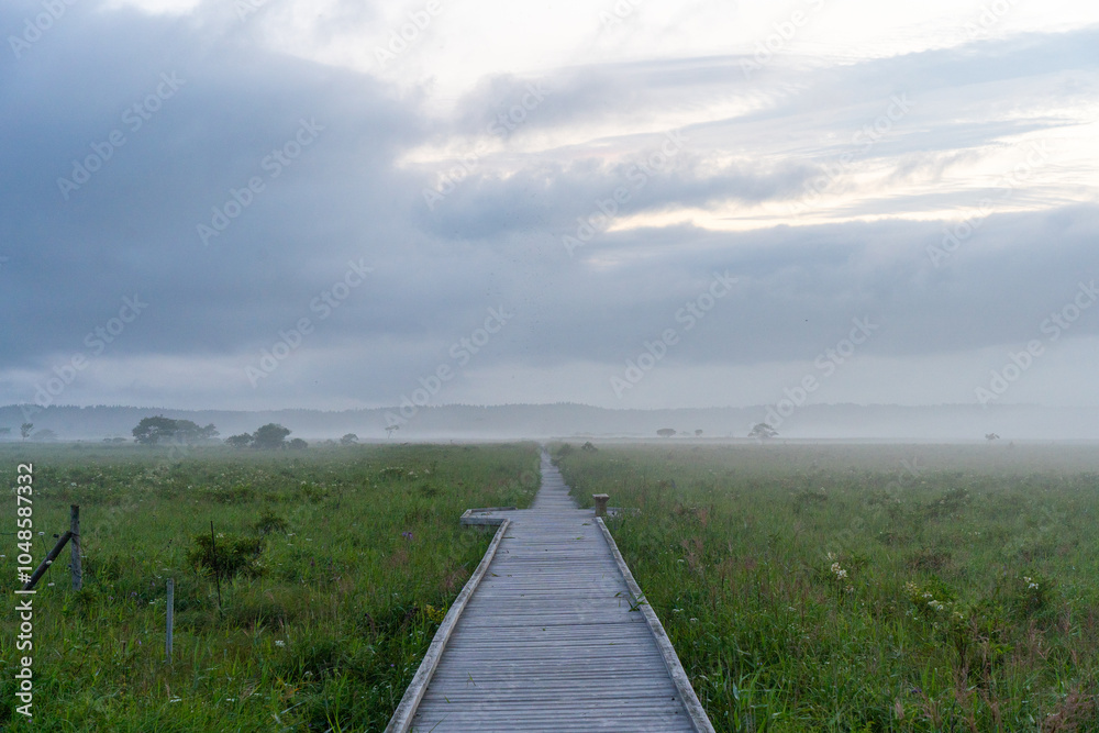 Obraz premium Kiritappu wetland in Hokkaido, Japan