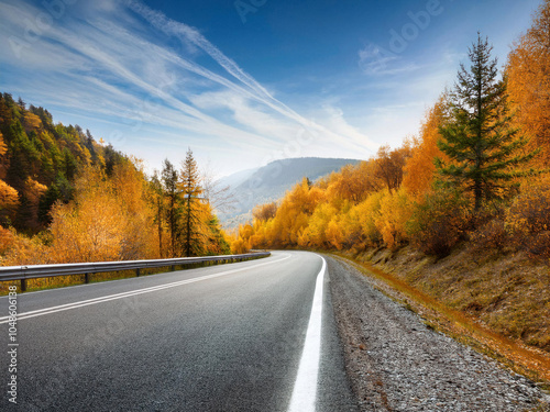 Autumn road